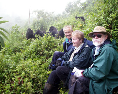 Gorilla Safaris Rwanda, Rwanda Tracking, Trekking, Hiking